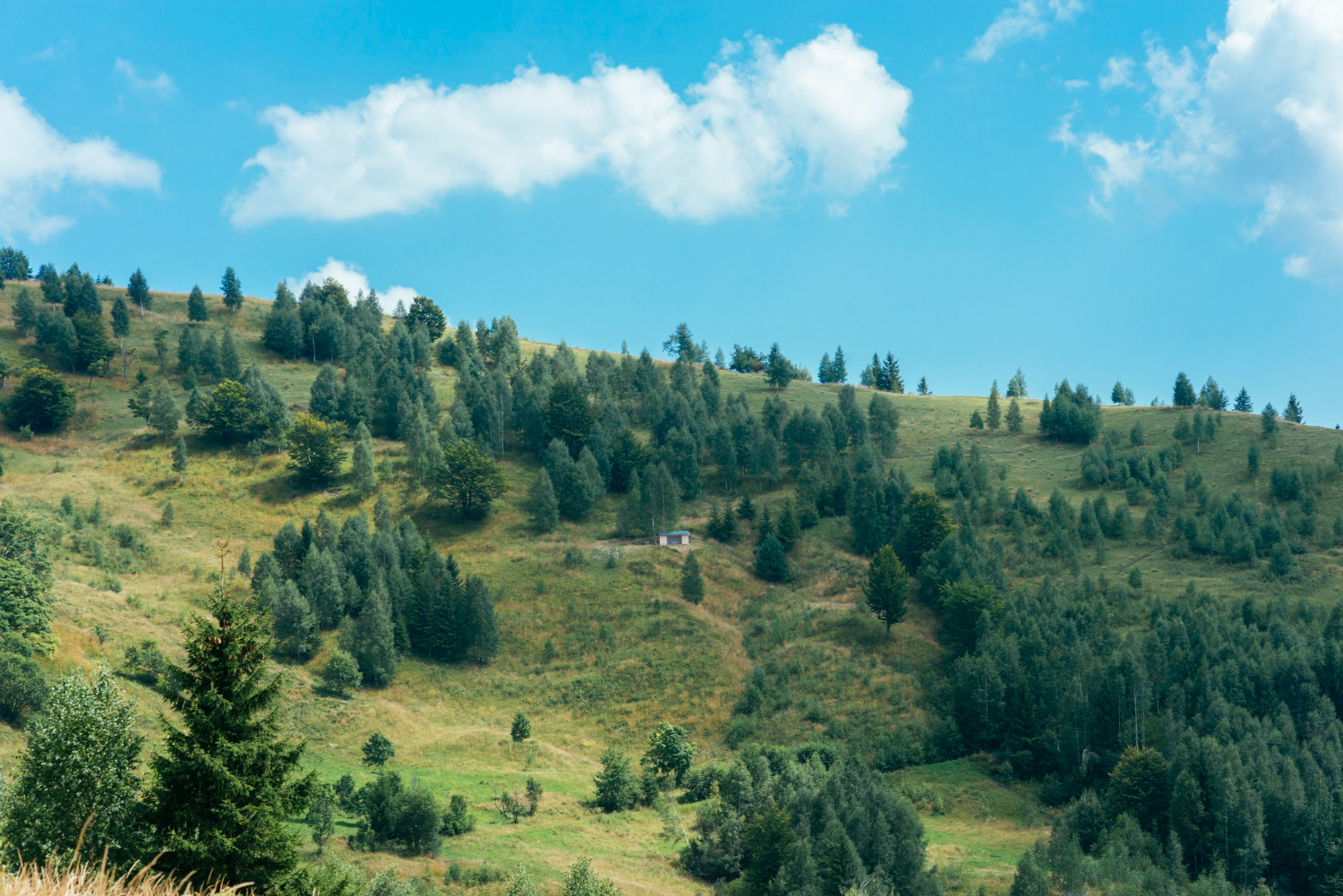 Yusmarg